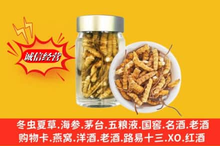 营口市西市回收散虫草
